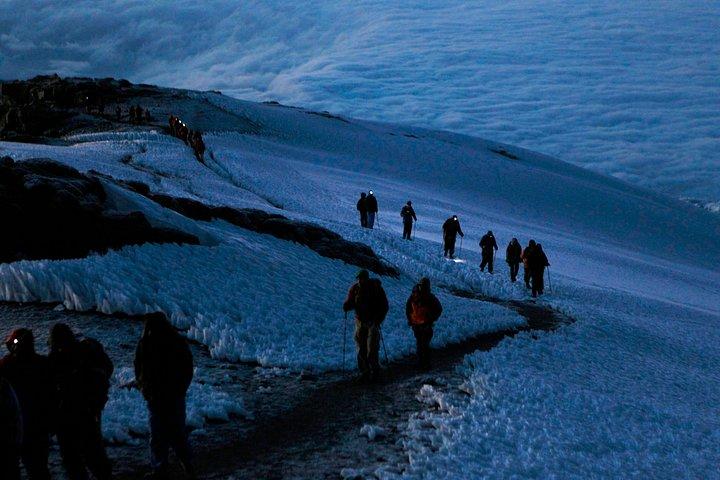 8 Day Kilimanjaro Lemosho Climb