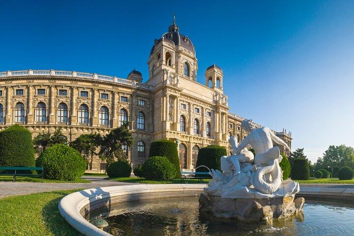 Wien privat heldagstur med billetter