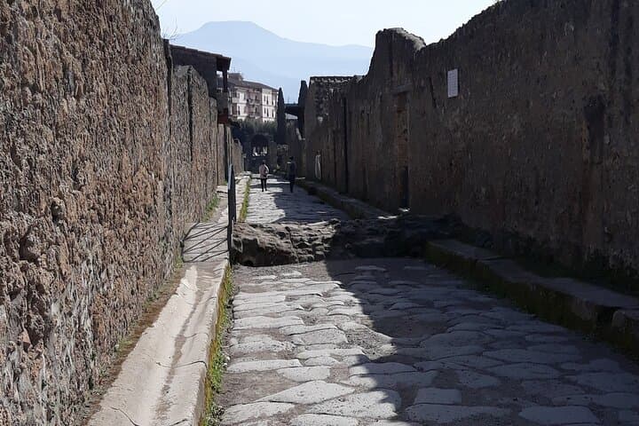Pompeii: Private Day Tour from Naples