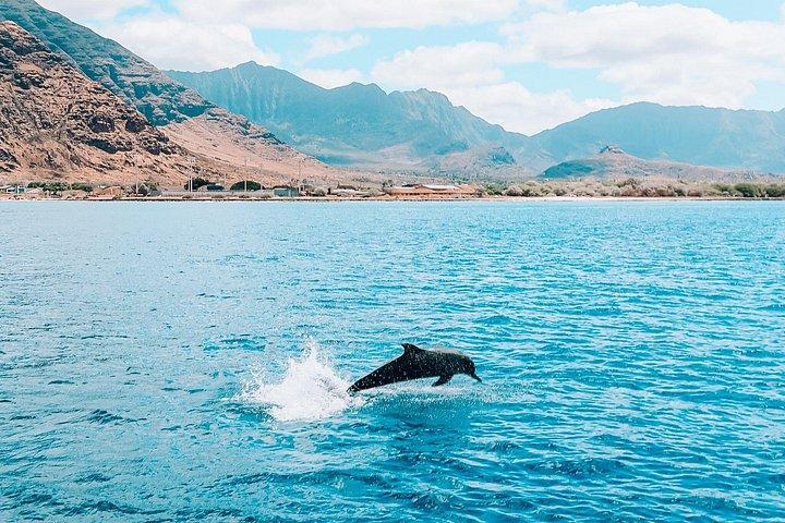 Swim with Dolphins Catamaran with Waterslide & Lunch on Oahu