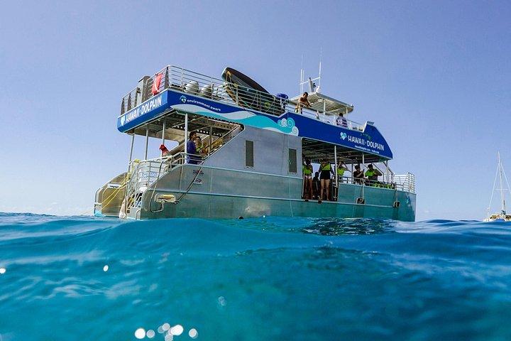 Swim with Dolphins Catamaran with Waterslide & Lunch on Oahu
