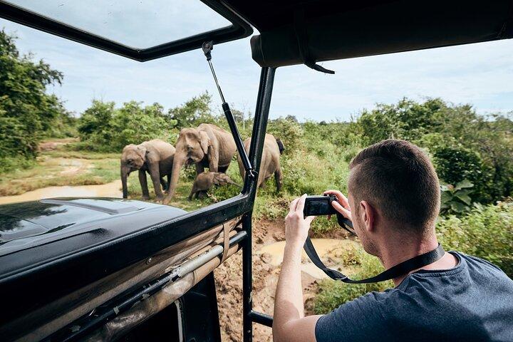 Ella to Tangalle/Hiriketiya/Mirissa/Galle Shuttle & Yala Safari