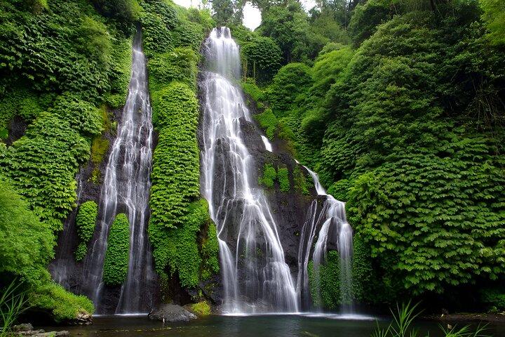 Bali-Ganztagestour: Erkundung eines instagramwürdigen Ortes in Nord-Bali