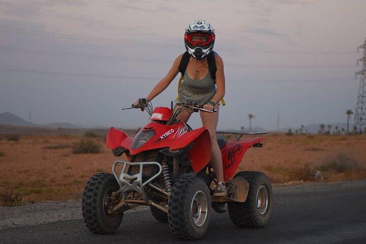 Marrakech: Quad Bike Tour in palm grove