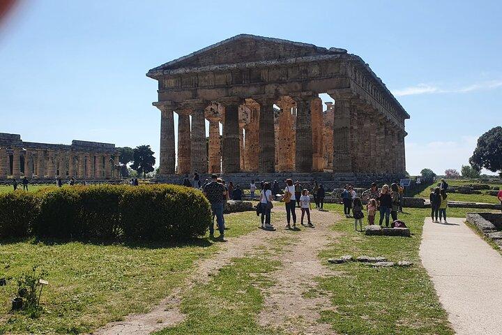 Tur til templerne og Nationalmuseet i Paestum