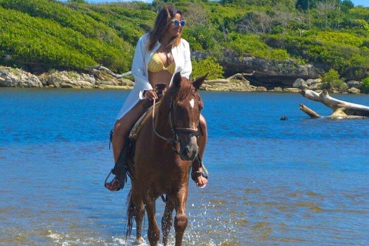 Equitazione (Punta Cana/Bavaro)