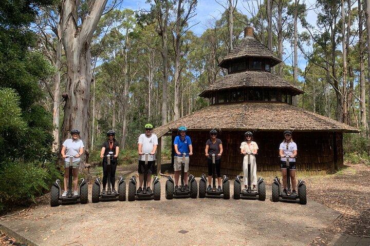 Launceston: Avventure sulle cime degli alberi di Hollybank - Segway Tour
