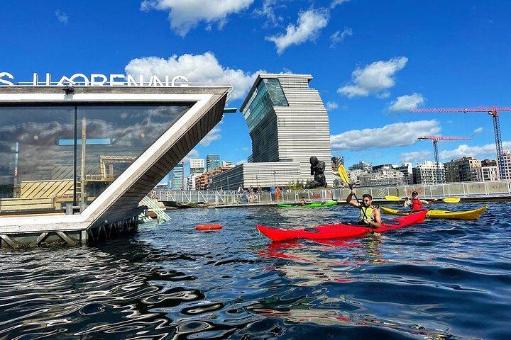 Oslo Zee kajak tour: Ontdek het ongelooflijke Oslofjord