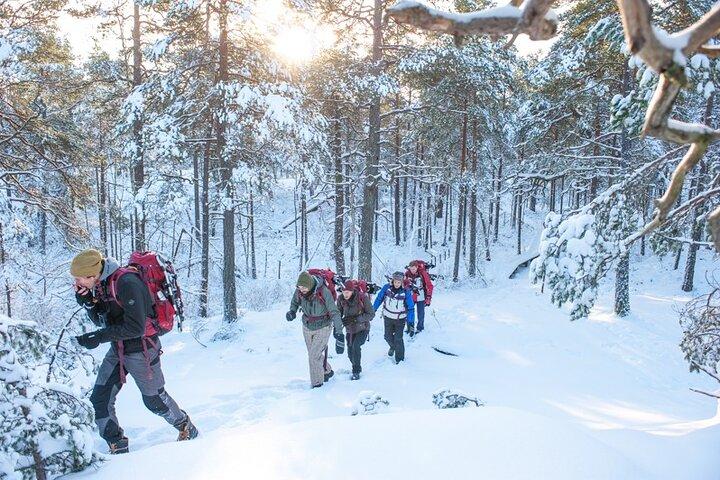 Snowshoe Winter Hike from Stockholm