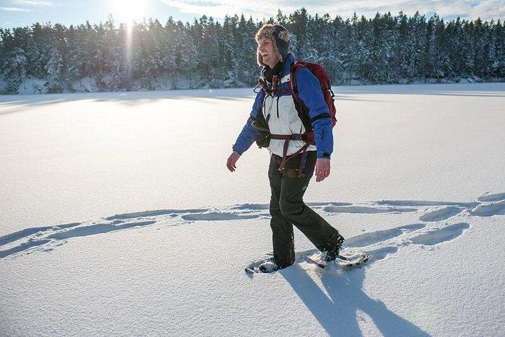 Snowshoe Winter Hike from Stockholm