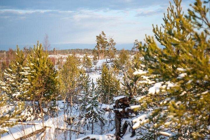 Snowshoe Winter Hike from Stockholm