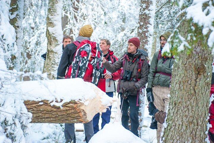 Snowshoe Winter Hike from Stockholm