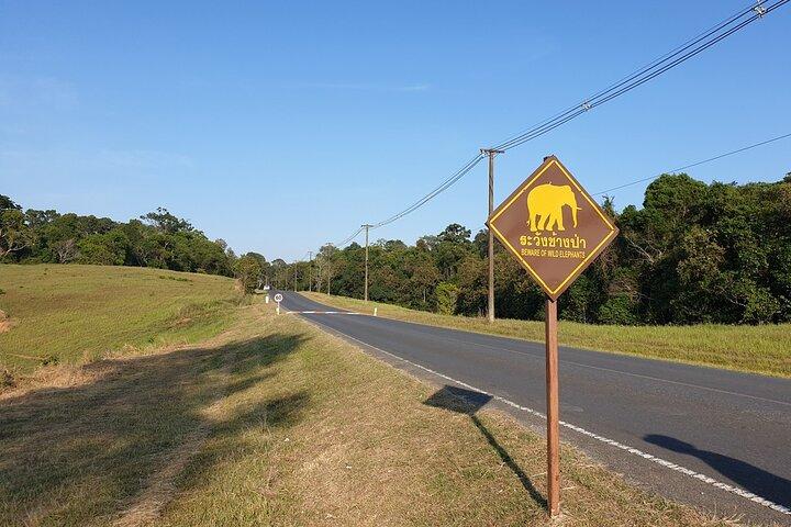 10 horas de caminata privada en el Parque Nacional Khao Yai desde Bangkok