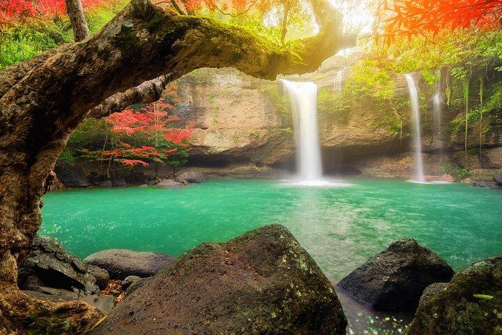 10 horas de caminata privada en el Parque Nacional Khao Yai desde Bangkok