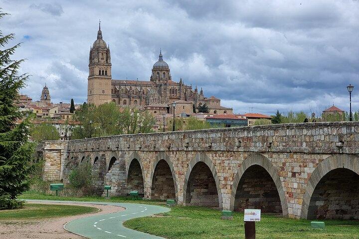 Excursión privada a Salamanca y Ávila desde Madrid con recogida en el hotel