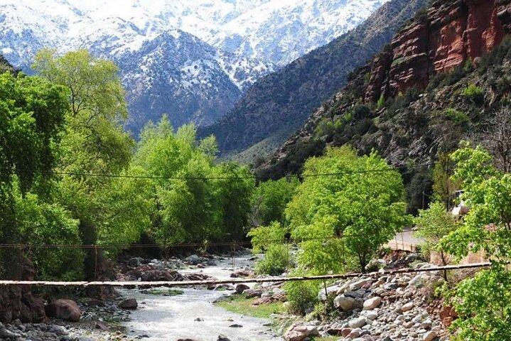 Gita giornaliera privata alle montagne dell'Atlante e alla valle dell'Ourika da Marrakech