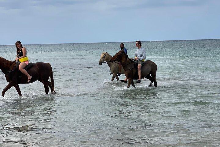 Paseo a caballo desde Ocho Ríos