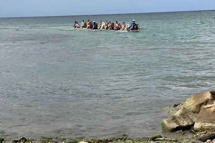 Paseo a caballo desde Ocho Ríos