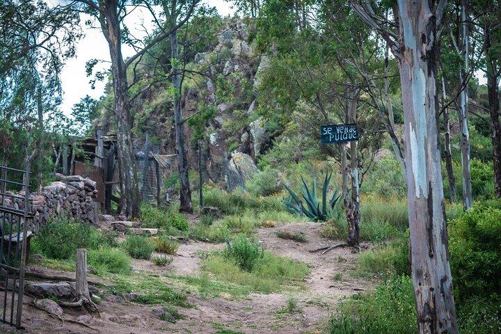 Unique cablecar experience, pulque tasting &unbeatable views