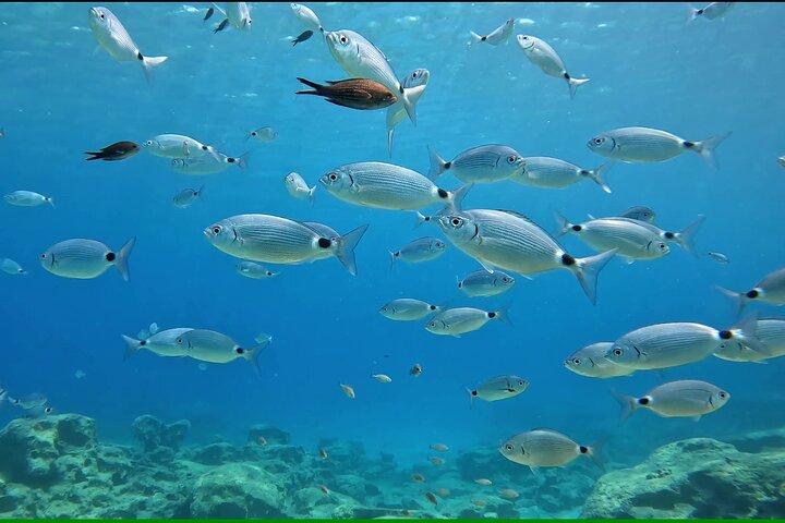 Ontdek SCUBA Duiken met Pissouri Bay Divers