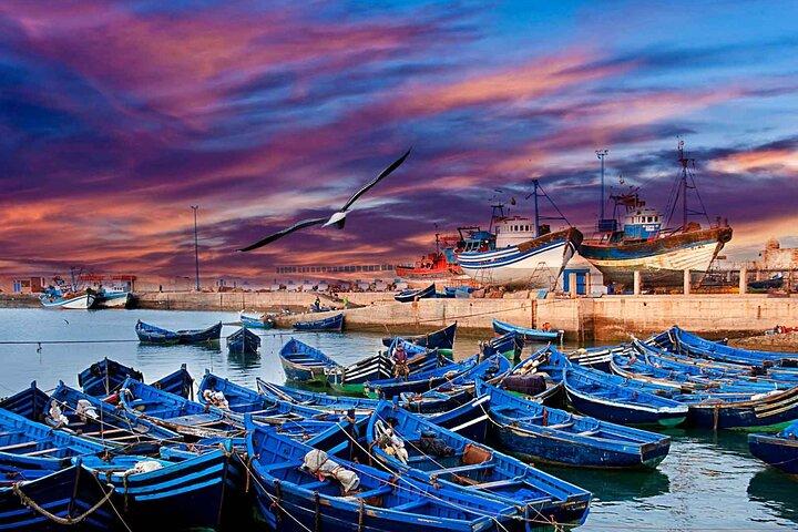 Essaouira Coastal Day Trip from Marrakech: Medina, Port Argan Oil