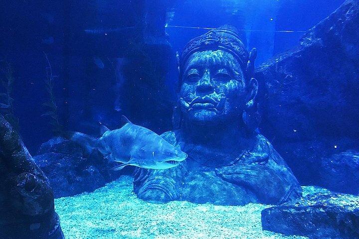 Entrada SEA LIFE Bangkok Ocean World Standard