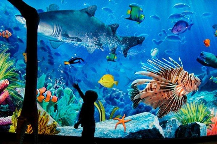 Entrada SEA LIFE Bangkok Ocean World Standard