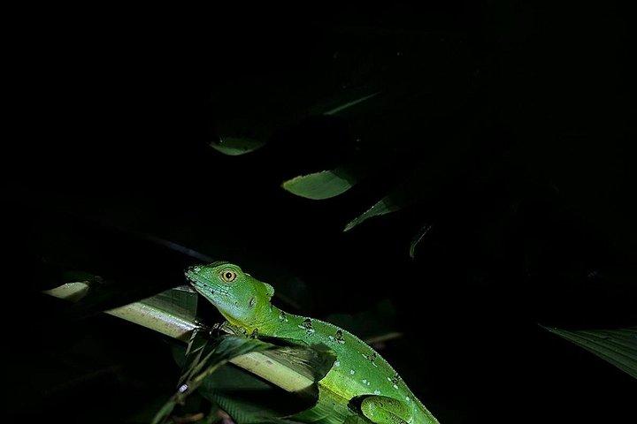 Night Experience at Eden Organic Farm