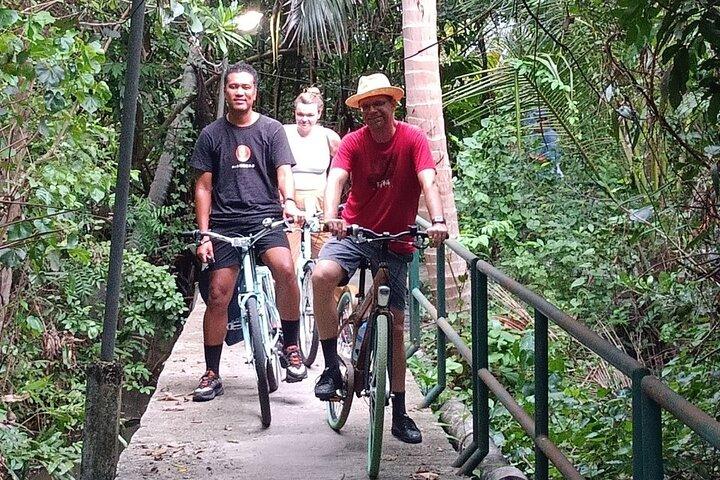 El original recorrido en bicicleta por la jungla verde de Bangkok