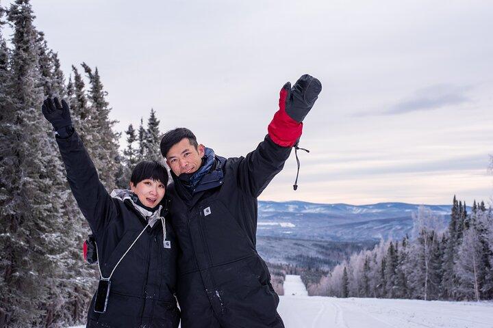 1 times snescootereventyr i Boreal Forest