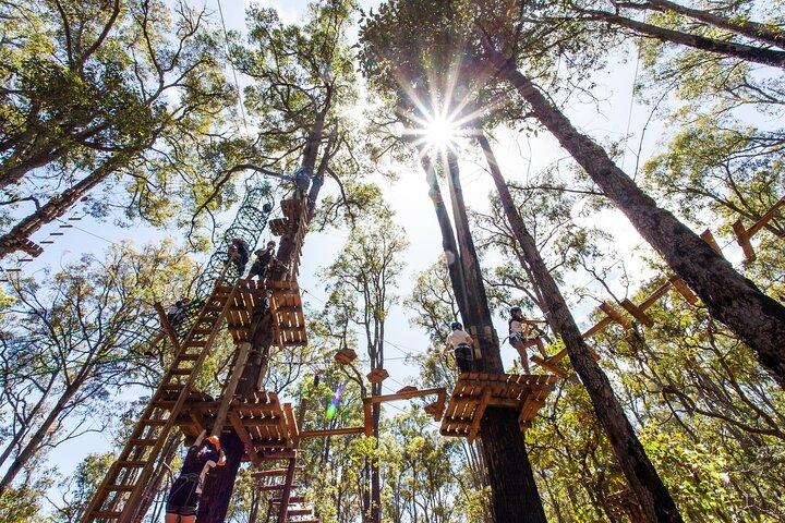 Lane Poole Park Dwellingup - Cours de cordes d'arbres