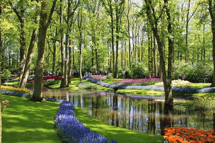 Private Tulips Tour Keukenhof Gardens and Tulip Fields