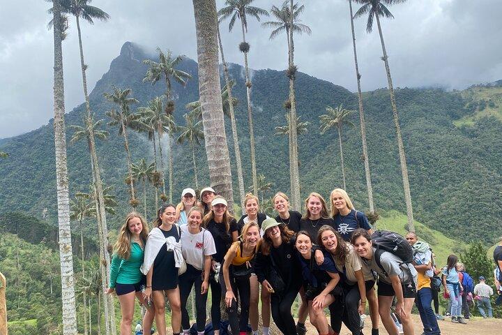 Visite privée d'une journée dans la randonnée de la vallée de Cocora