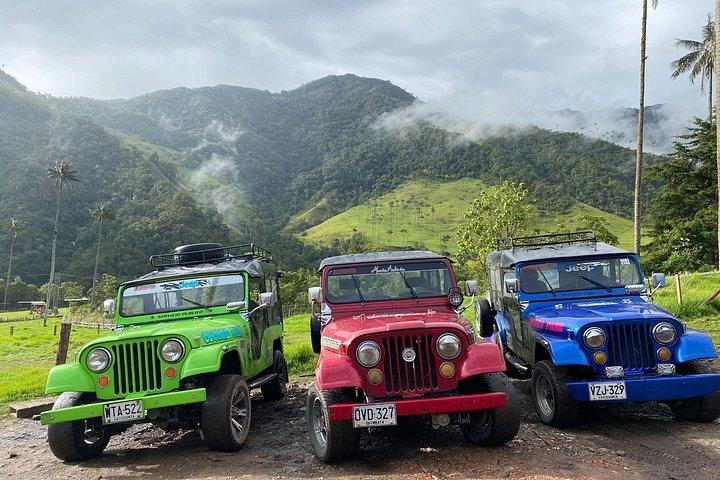 1 Day Private Tour in Cocora Valley Hike