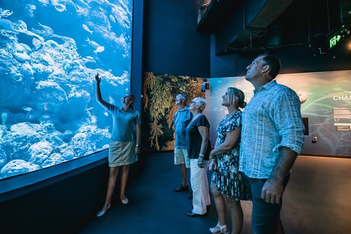 Night at the Aquarium Tour