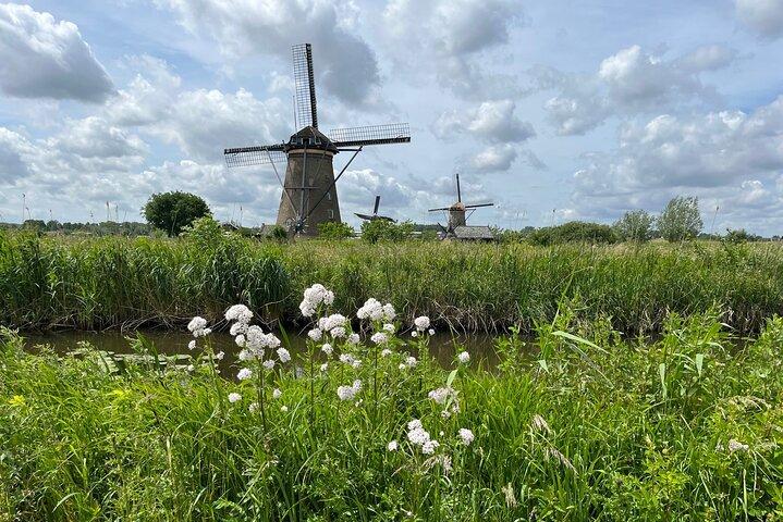 Kinderdijk Windmills, Delft City & Delft Blue Factory Besøg