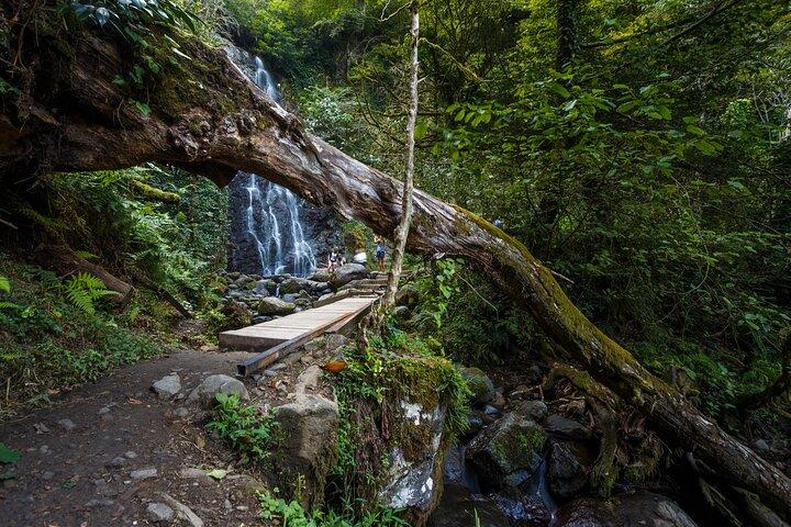 Batoumi, cascades et folklore - Une visite de groupe au départ de Kutaisi