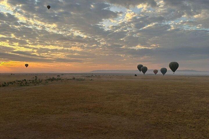 11-Day Wildebeest Migration Serengeti, Mara, Ngorongoro Crater.