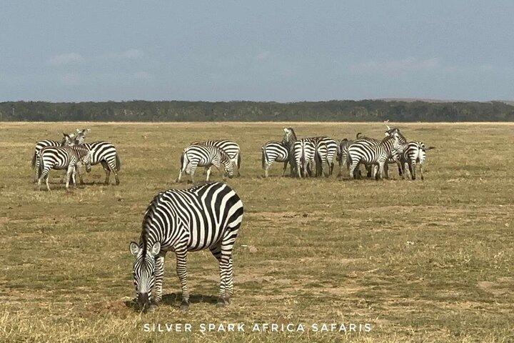 11-Day Wildebeest Migration Serengeti, Mara, Ngorongoro Crater.