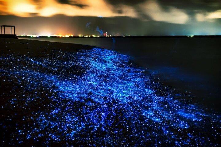 Phuket: tour de canoas marinas y plancton bioluminiscente de la bahía de Phang Nga