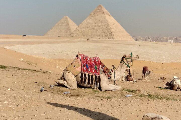 Privat dagstur i Kairo Giza Pyramider Sphinx Memphis og Saqqara