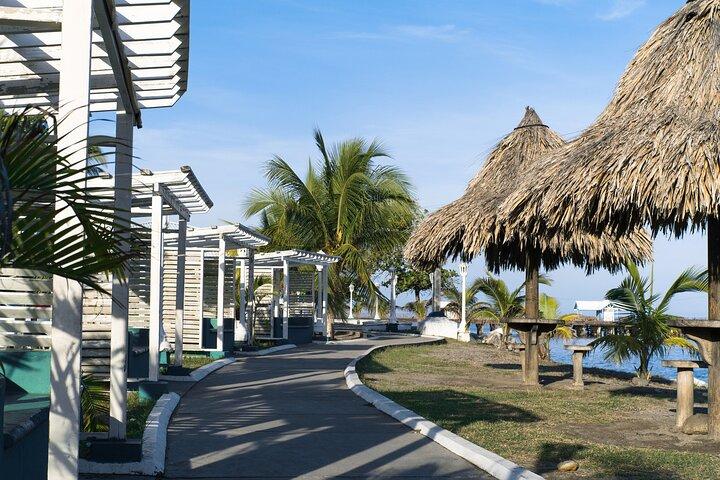 Tour privato a terra a La Ceiba dal porto di Banana Coast Cruise