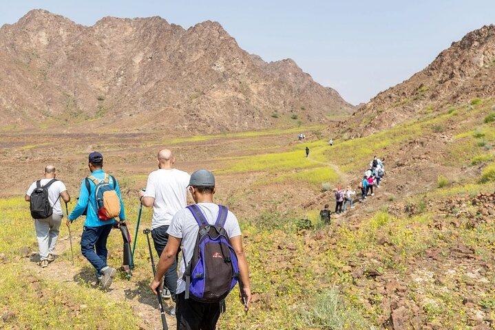 ドバイ: 八田で冒険する4時間の旅