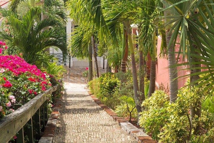 Ganztägige Landtour Charlotte Amalie vom Hafen Charlotte Amalie