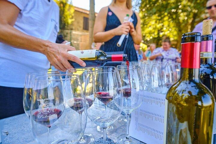 Excursão de dia inteiro ao Val d'Orcia e Gladiator's Fields com vinhos