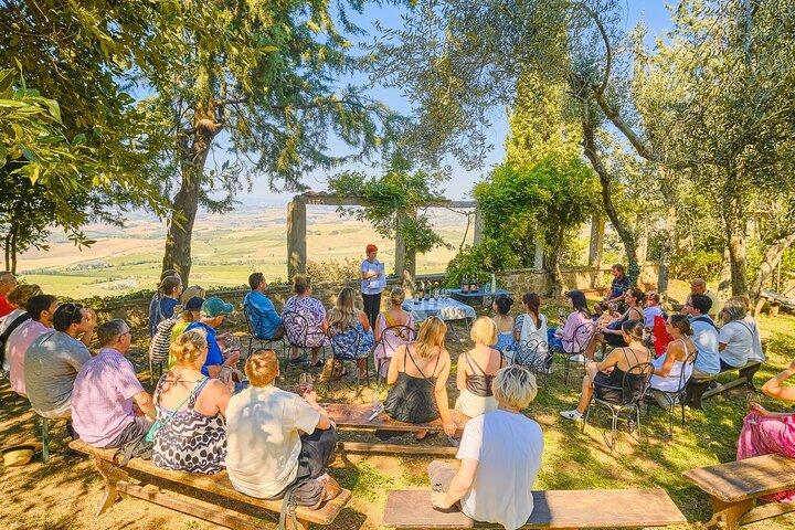 Excursão de dia inteiro ao Val d'Orcia e Gladiator's Fields com vinhos