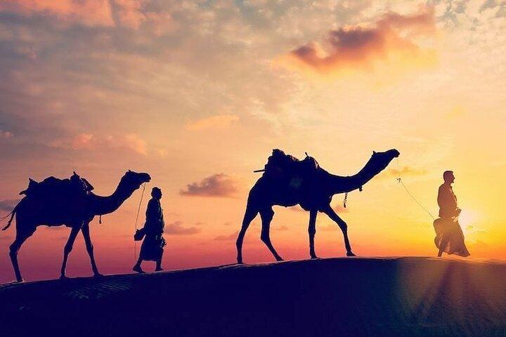 5-Day Private Morocco Cultural Tour From Marrakech To Casablanca