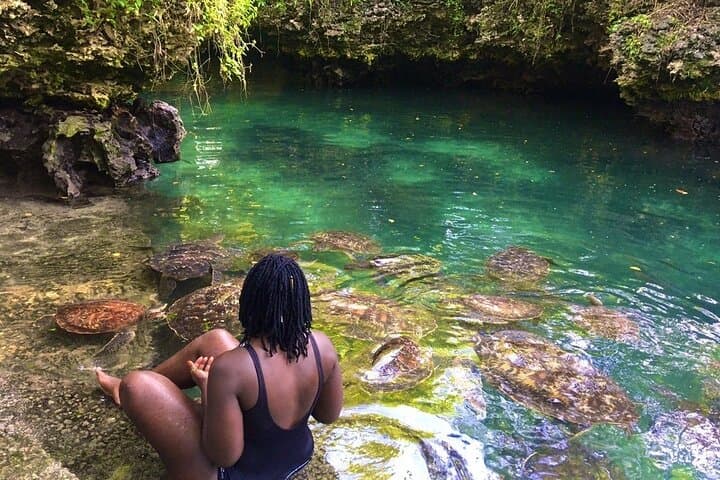 Full day Private Hidden Beach Escape