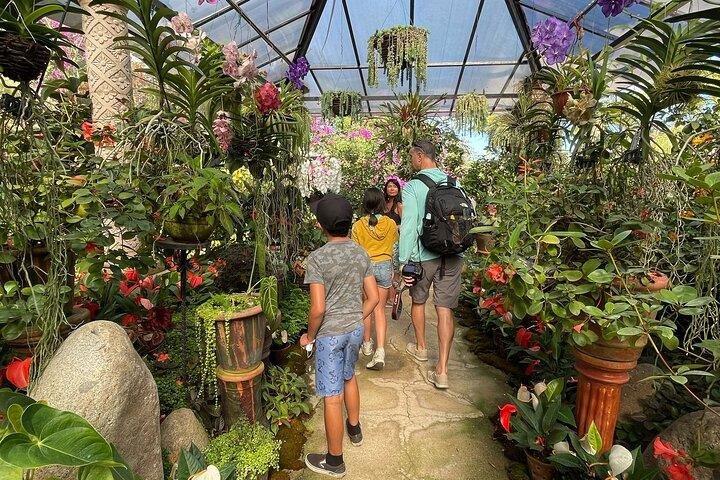 Escursione ai giardini botanici di Puerto Vallarta