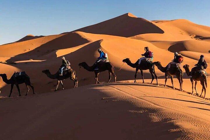 Gruppo 3 - Tour di un giorno da Marrakech a Merzouga Desert con Luxury Camp